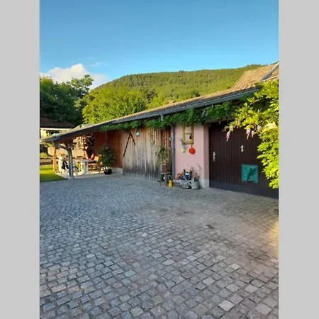 Charmant Petit Appartement Avec Bel Exterieur. Saint-Amarin Exterior foto