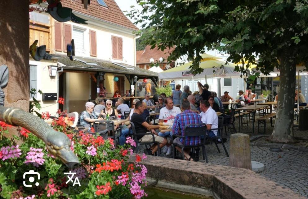 Petit Avec Bel Exterieur. Saint-Amarin